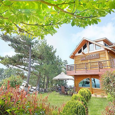 Attene Pension Jeju Extérieur photo