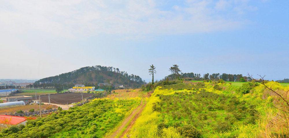 Attene Pension Jeju Extérieur photo